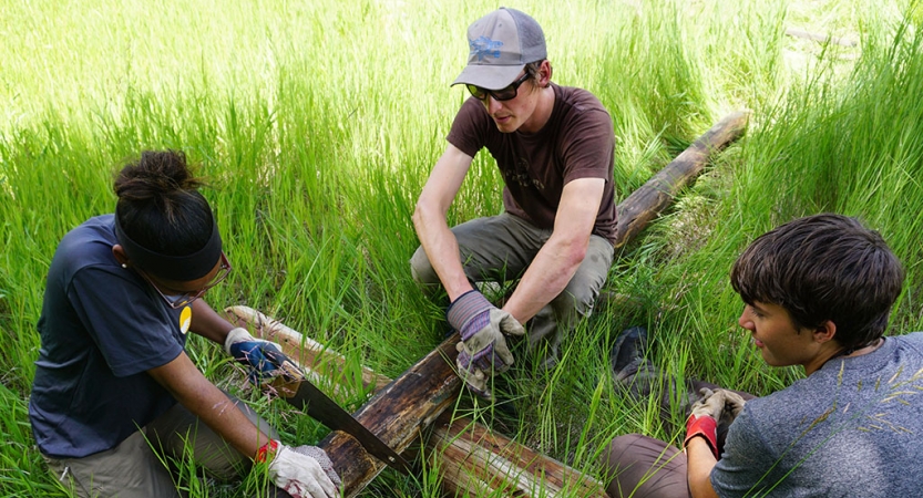 One student uses a saw on a piece of wood while two others brace it.